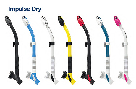 AquaLung Impulse Dry Dive Snorkel